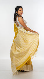 Load image into Gallery viewer, Cotton Khadi saree